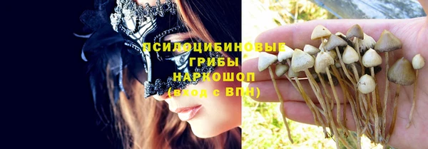 хмурый Алексеевка