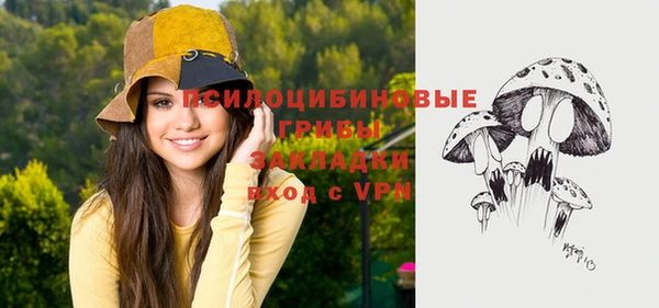 хмурый Алексеевка