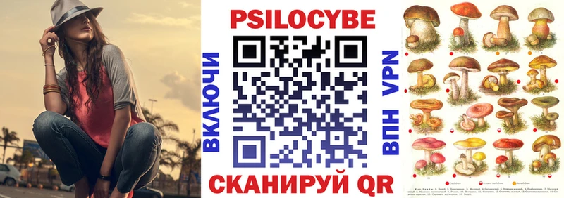 Псилоцибиновые грибы мицелий  Исилькуль 