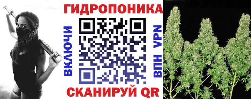 Канабис SATIVA & INDICA  Исилькуль 